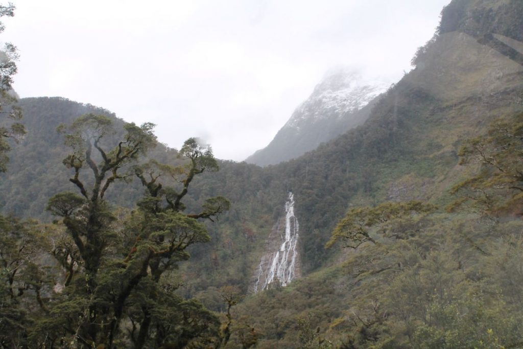 waterfall and mountains in doubtful sound