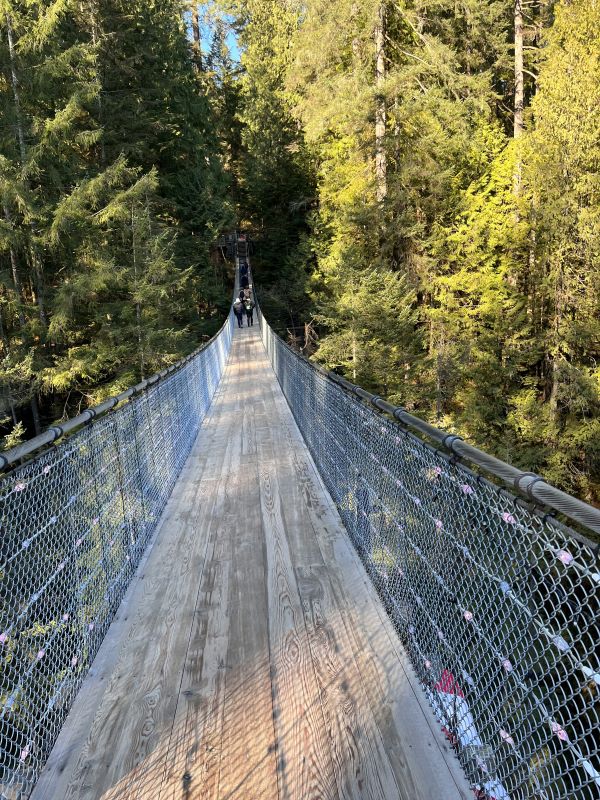 capilano suspension bridge