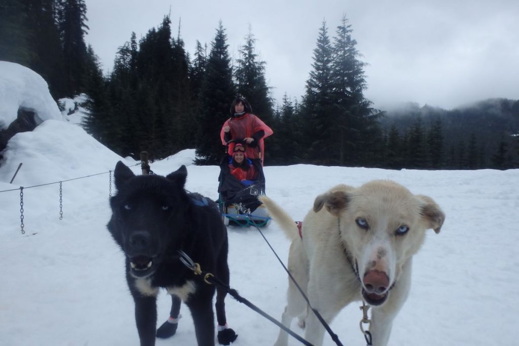 dog sledding whistler mother and daughter