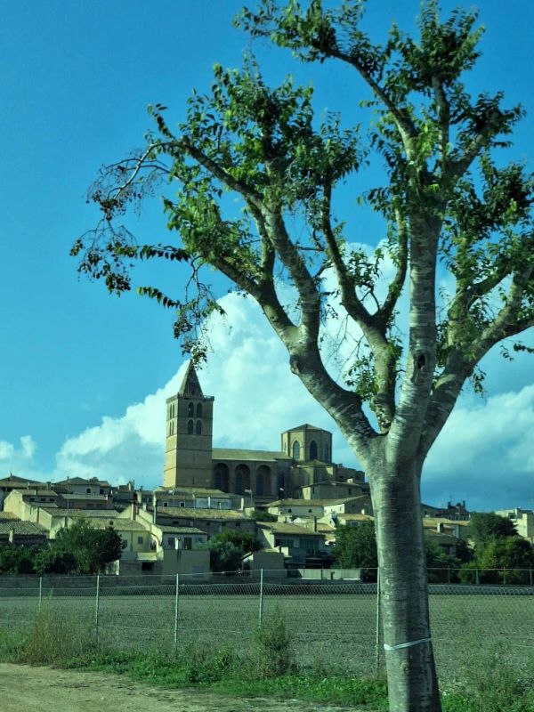 views when driving through mallorca