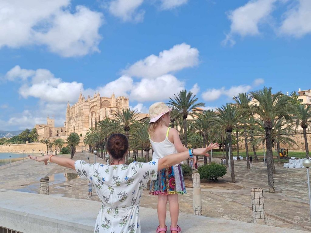 palma cathedral viewpoint