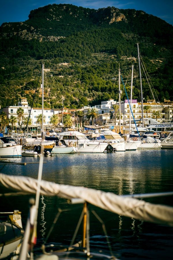 palma harbor