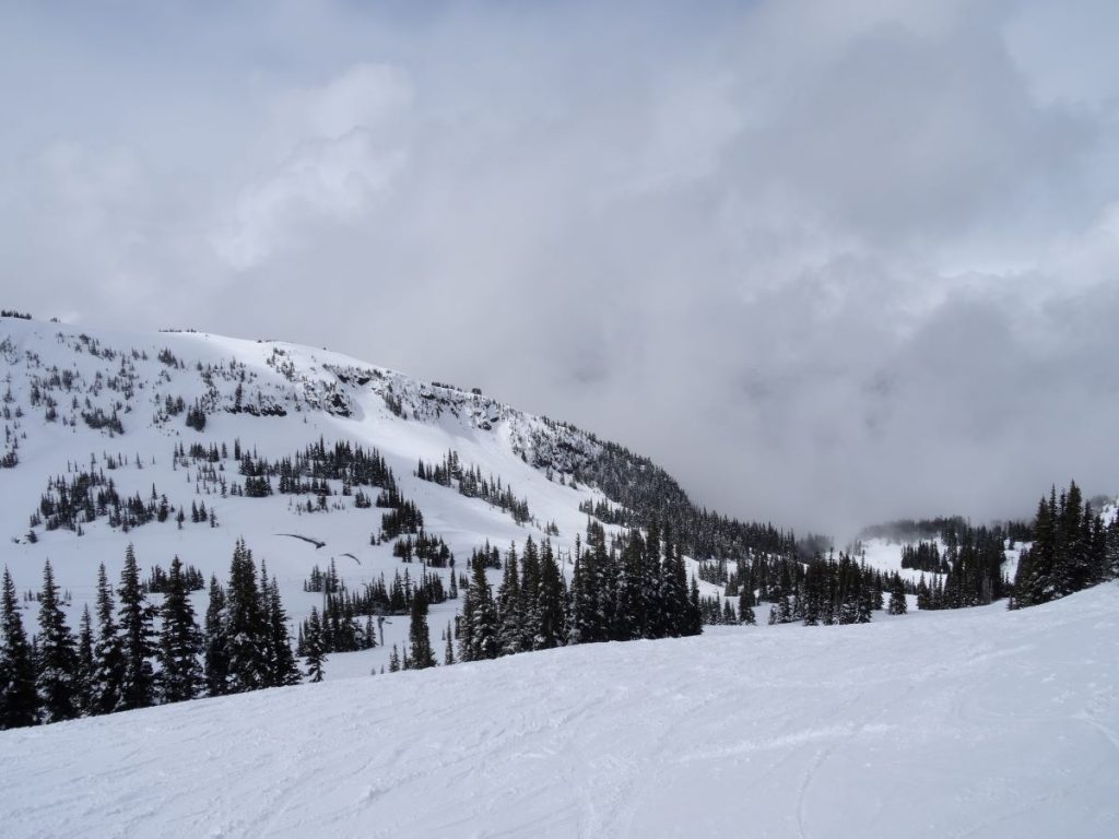 first tracks whistler