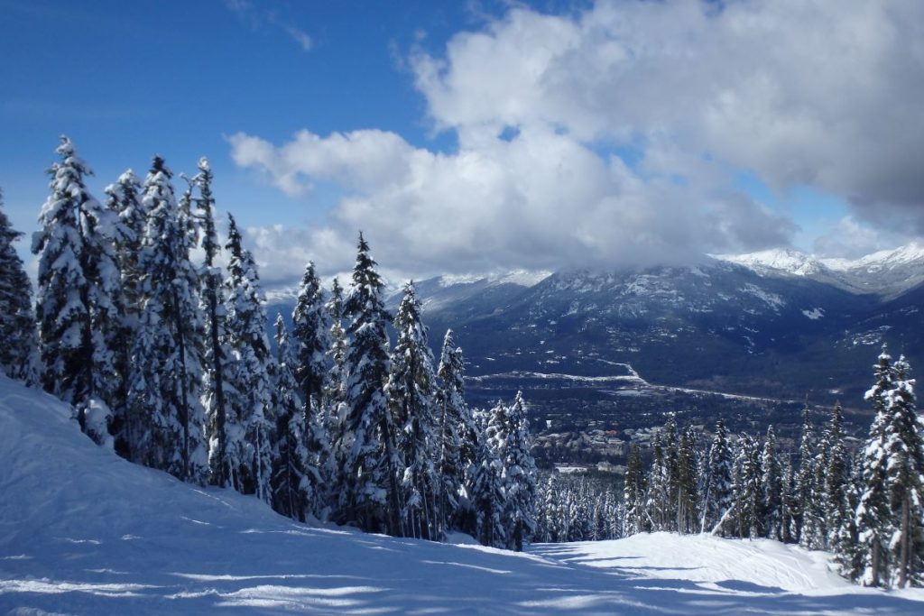 wide open ski runs whistler mountain