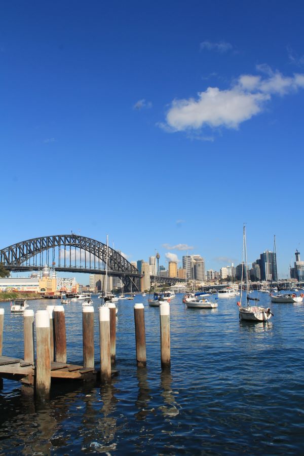 lavender bay sydney