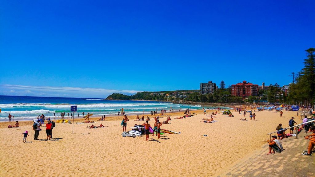 manly beach on a sunny day