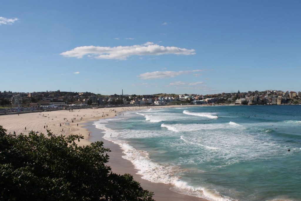 view of bondi beach from bondi to coogee walk