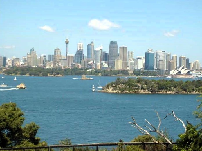 sydney city seen from tauranga zoo