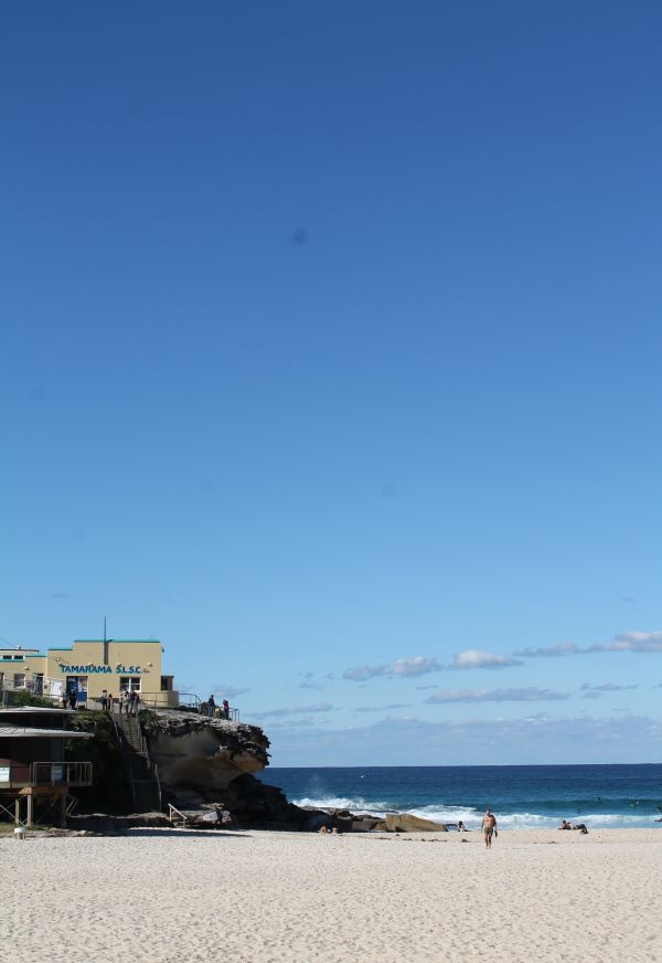 tamarama beach sydney