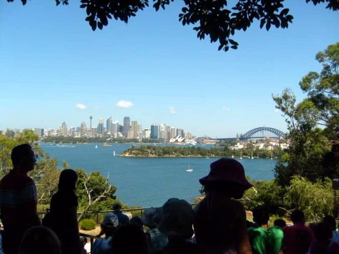 view from taronga zoo