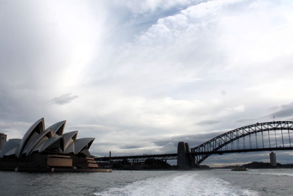 view leaving sydney whale tour