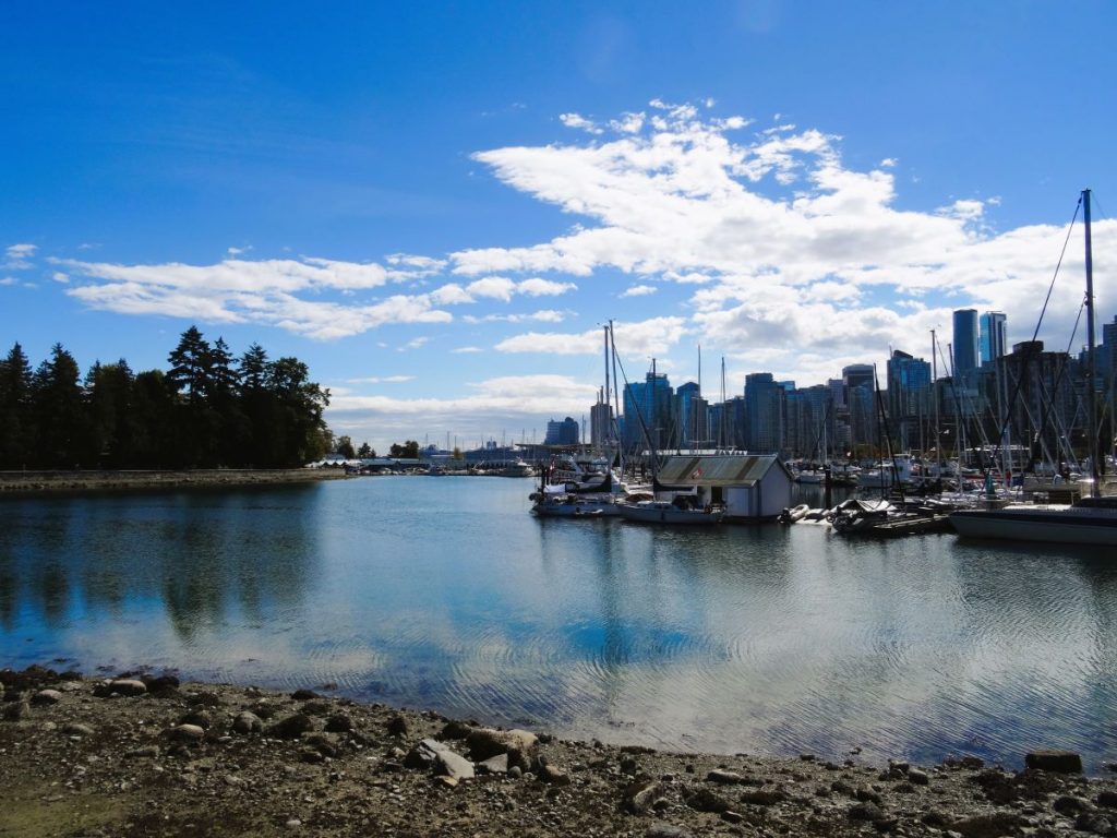 vancouver skyline from stanley park