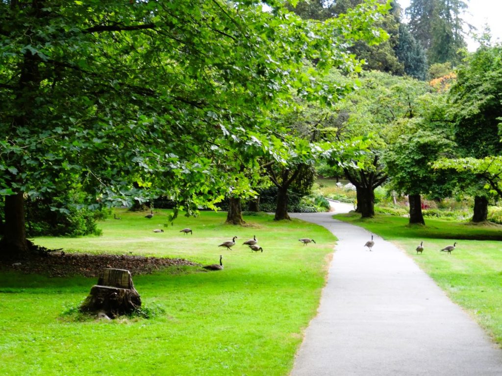 stanley park walkway