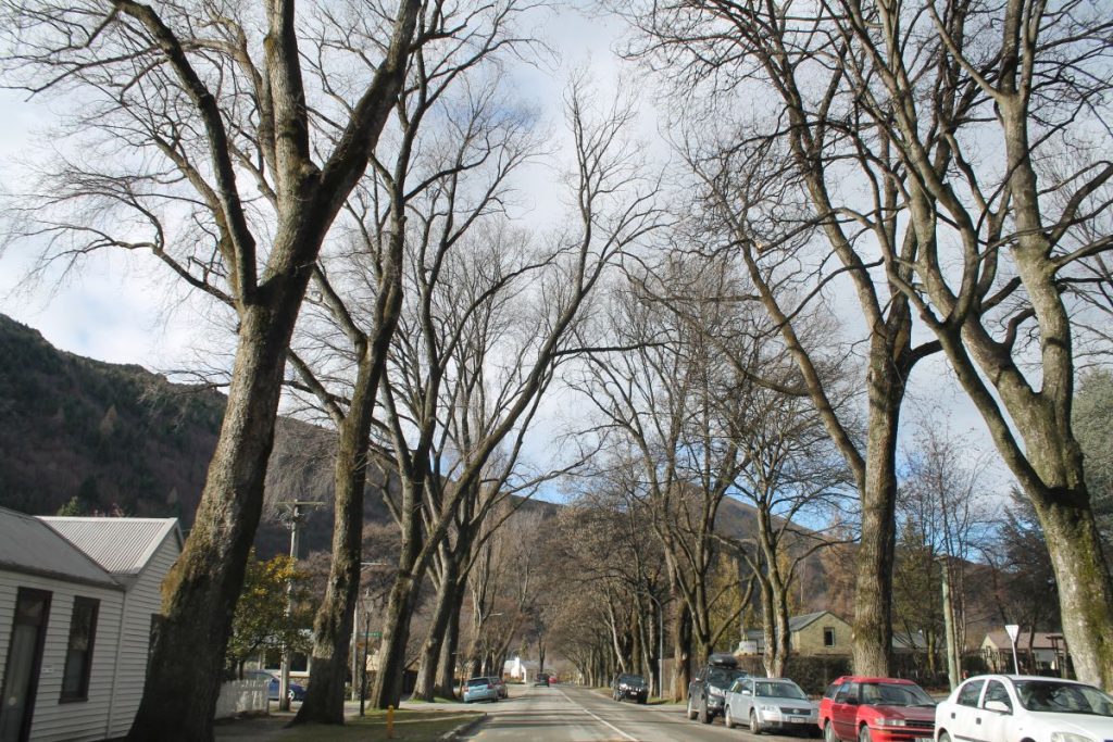 street in arrowtown winter