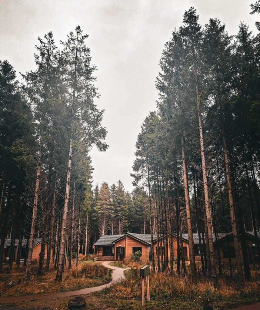 moody day center parcs ireland