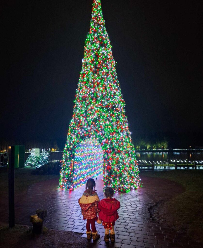 christmas tree center parcs