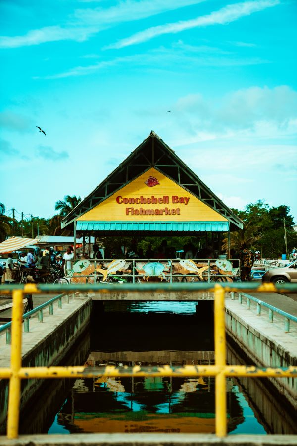 fishmarket in belize city