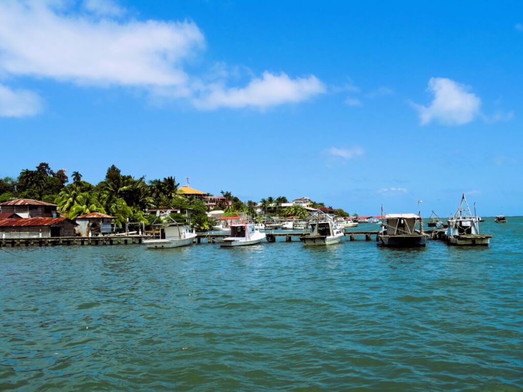 livingston from the water