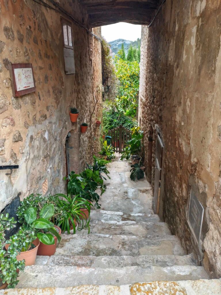 street in valldemossa