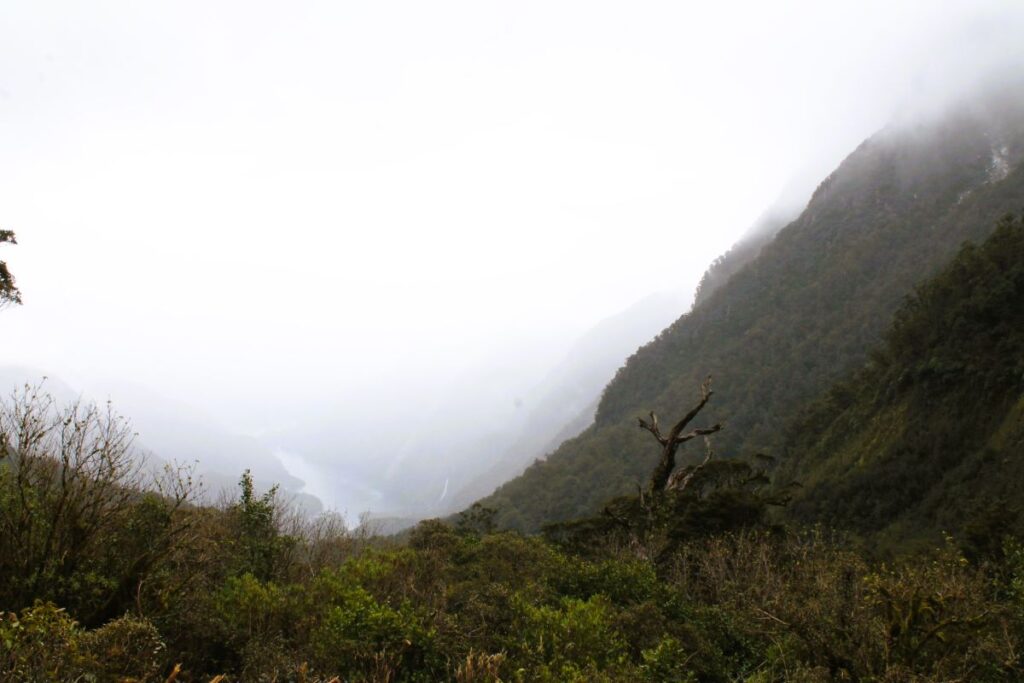 Ultimate Guide To Getting To Doubtful Sound