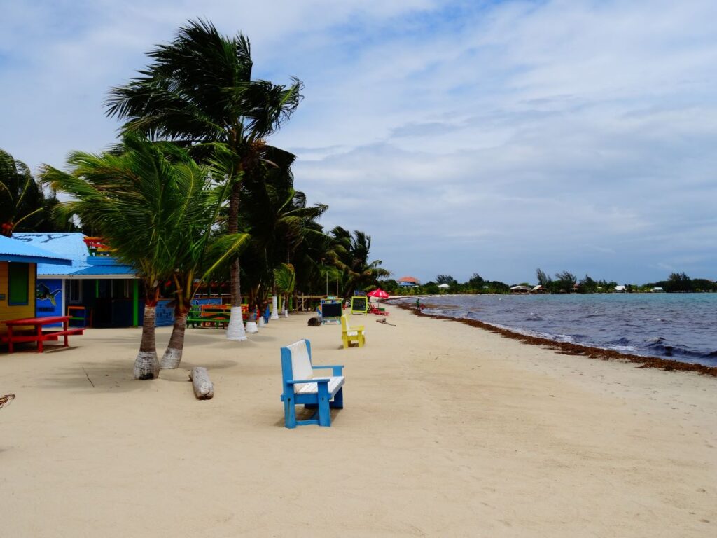 windy day placencia beach