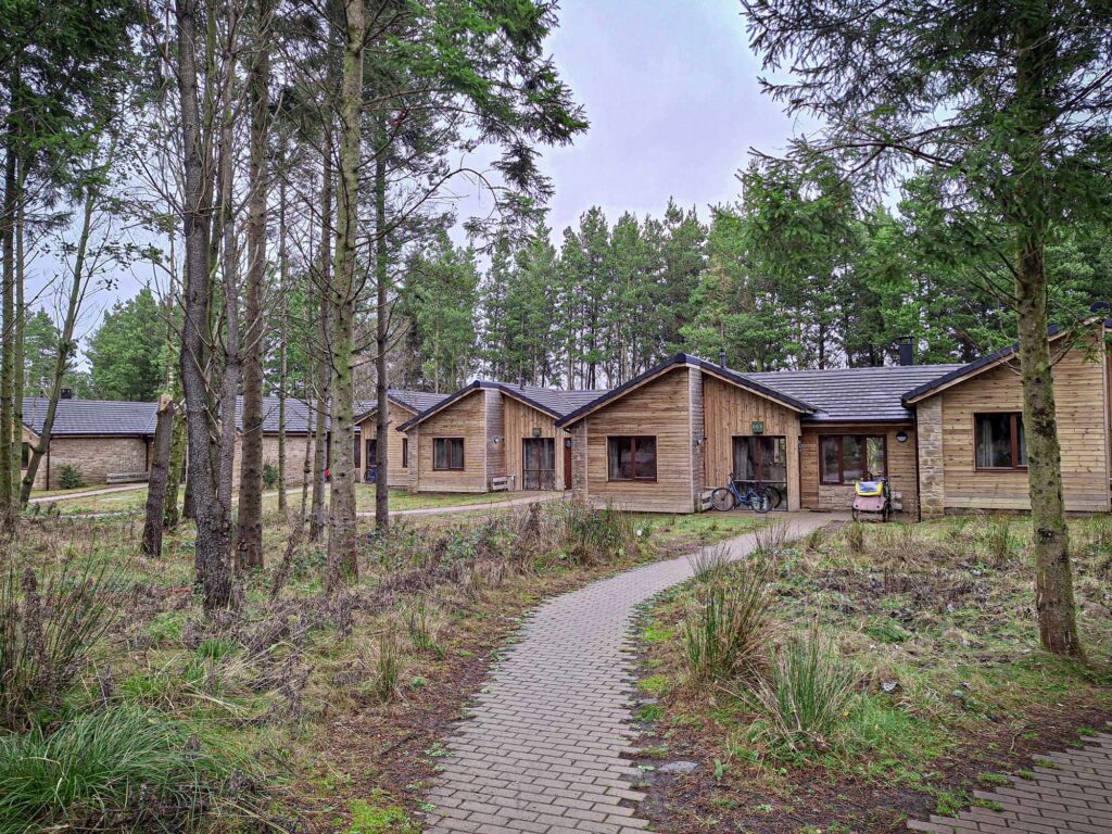 woodland lodge center parcs ireland