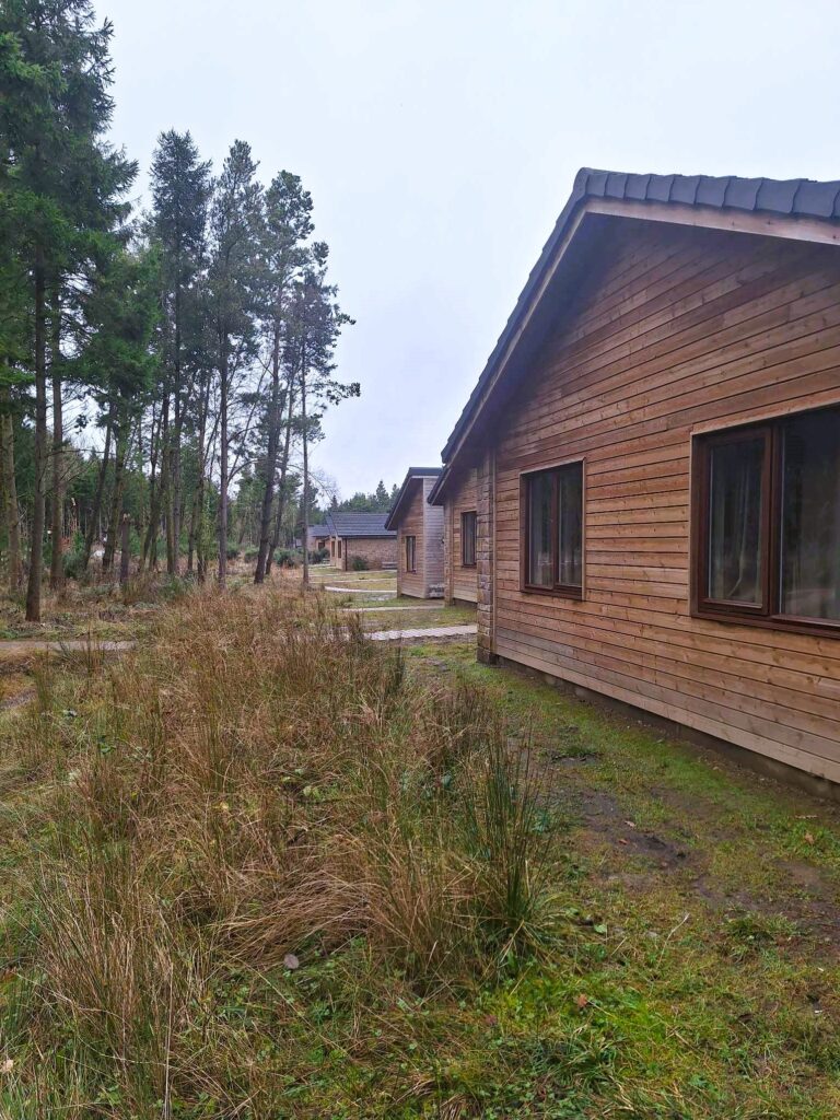 woodland lodges center parcs longford forest