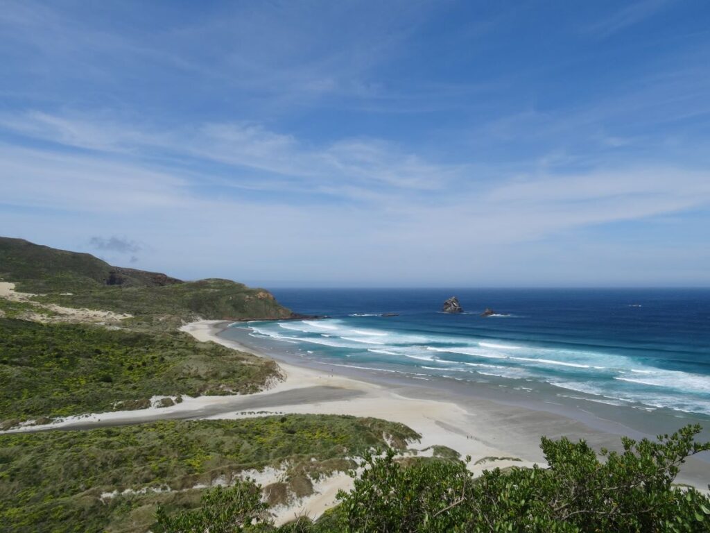 sandfly bay dunedin