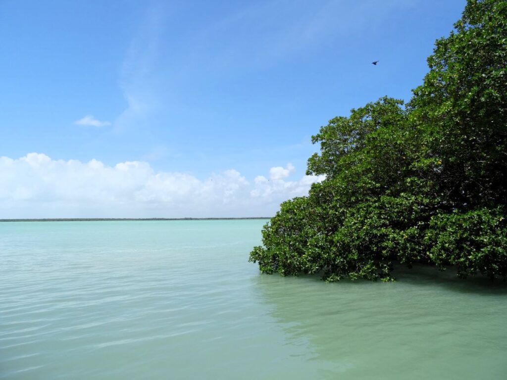 laguna bacalar