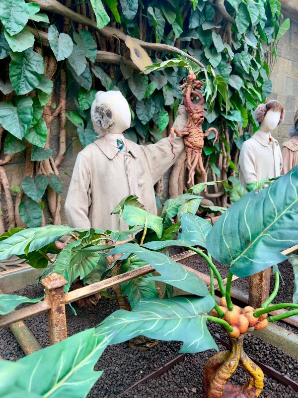 herbology class scene