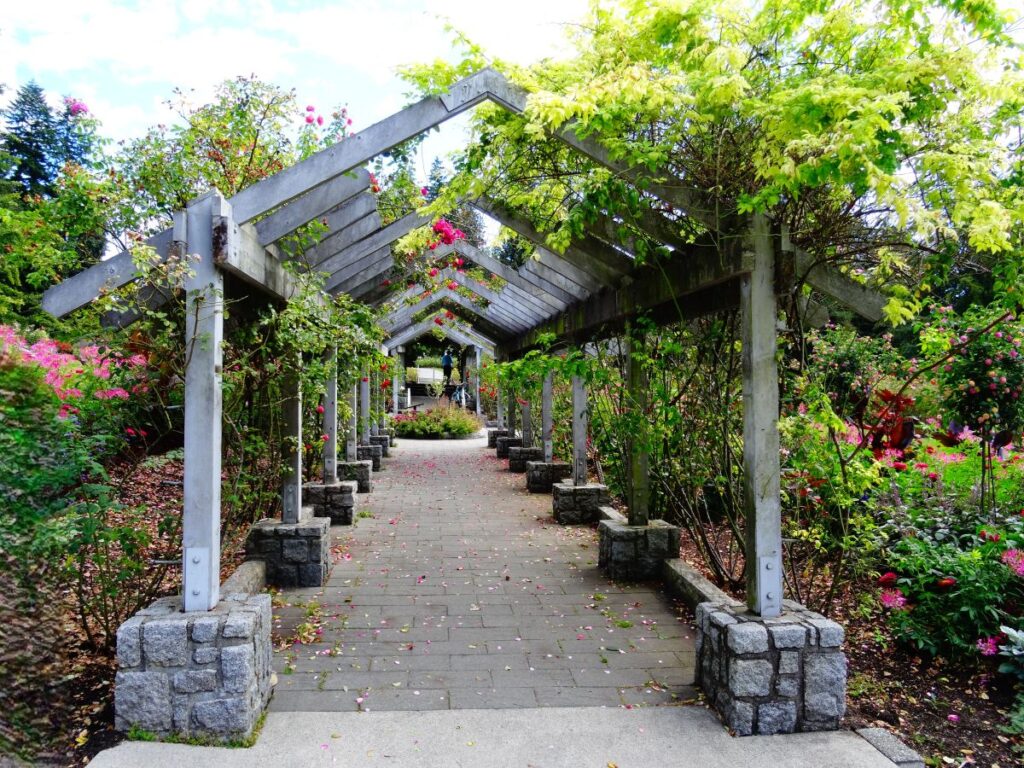 flower border stanley park