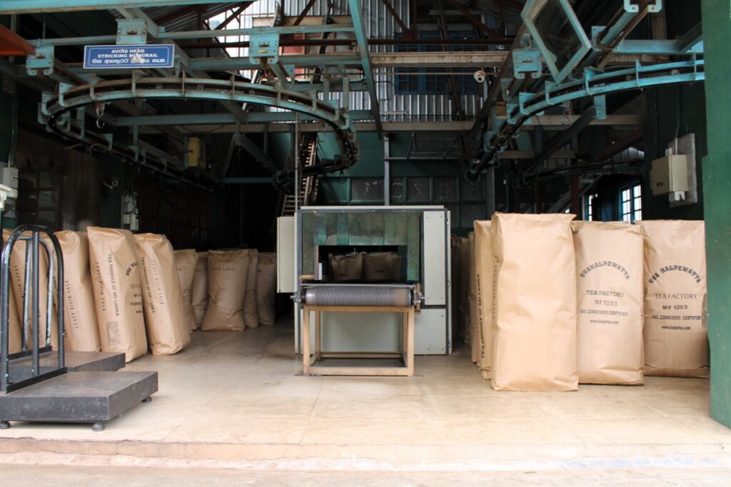 halpe tea in large bags