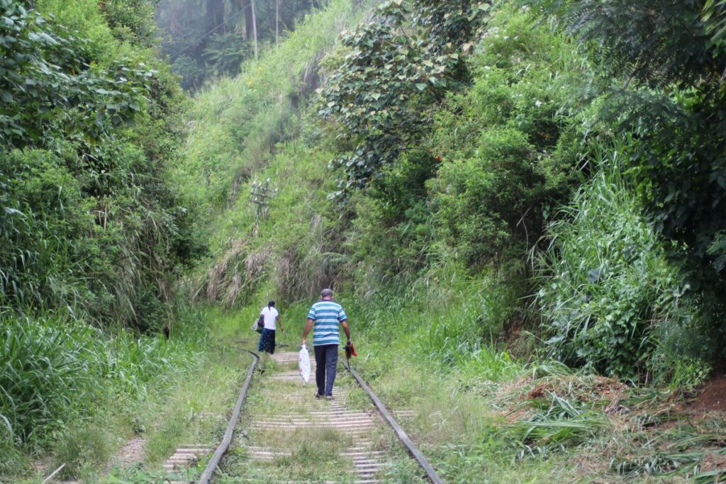 locals walking train track ella