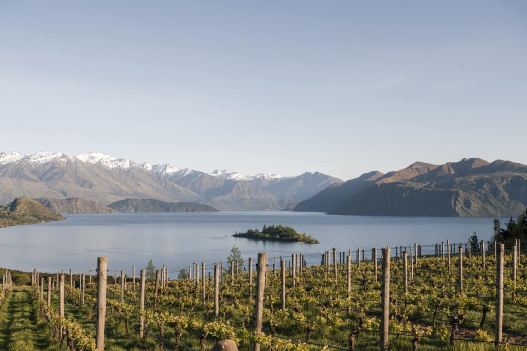 rippon winery