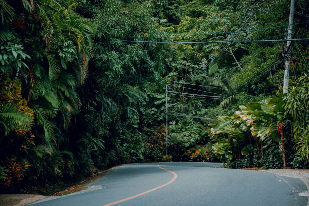 driving near manuel antonio costa rica