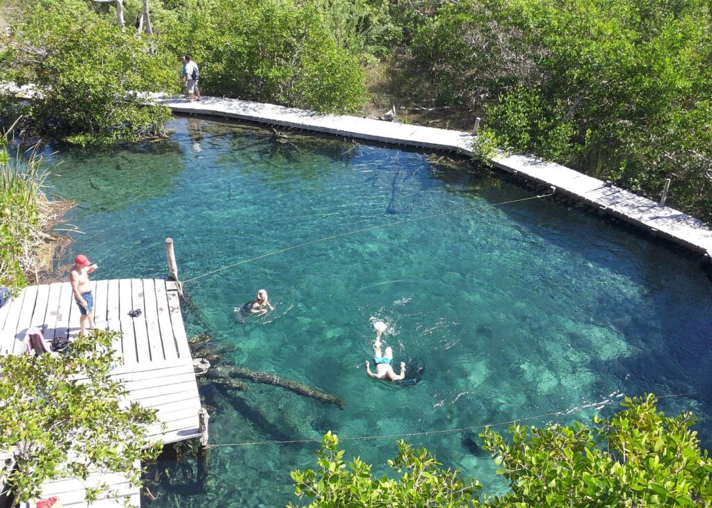 cenote holbox