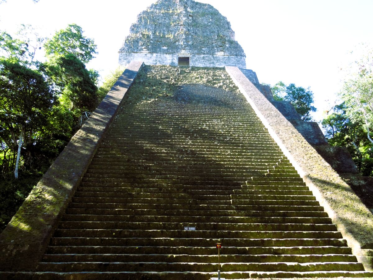 temple V tikal