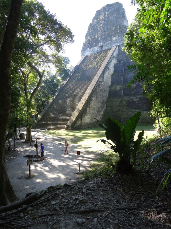 temple V tikal