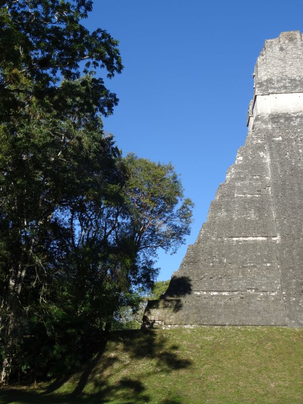 temple I tikal
