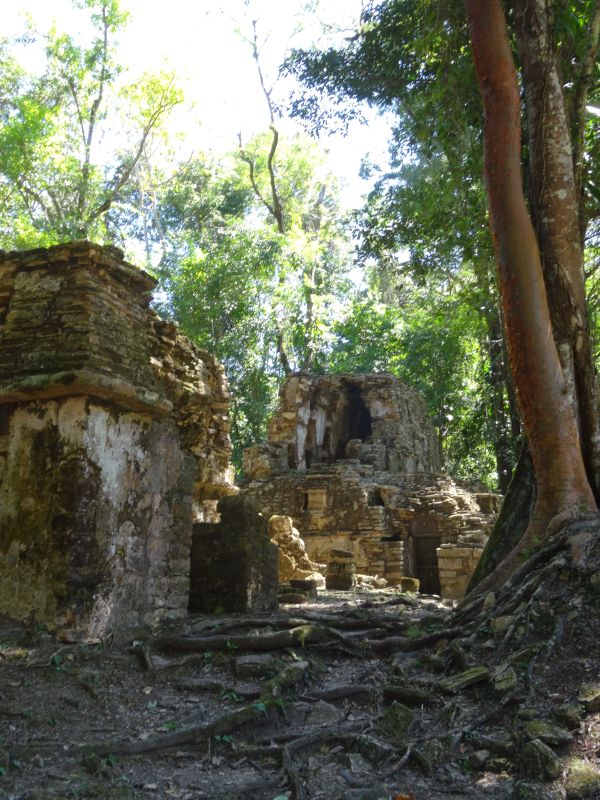 yaxchilan vertical