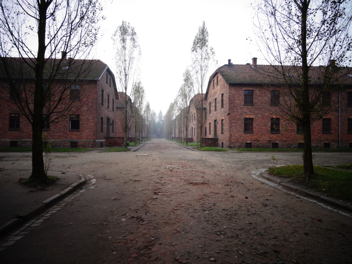 auschwitz buildings moody day