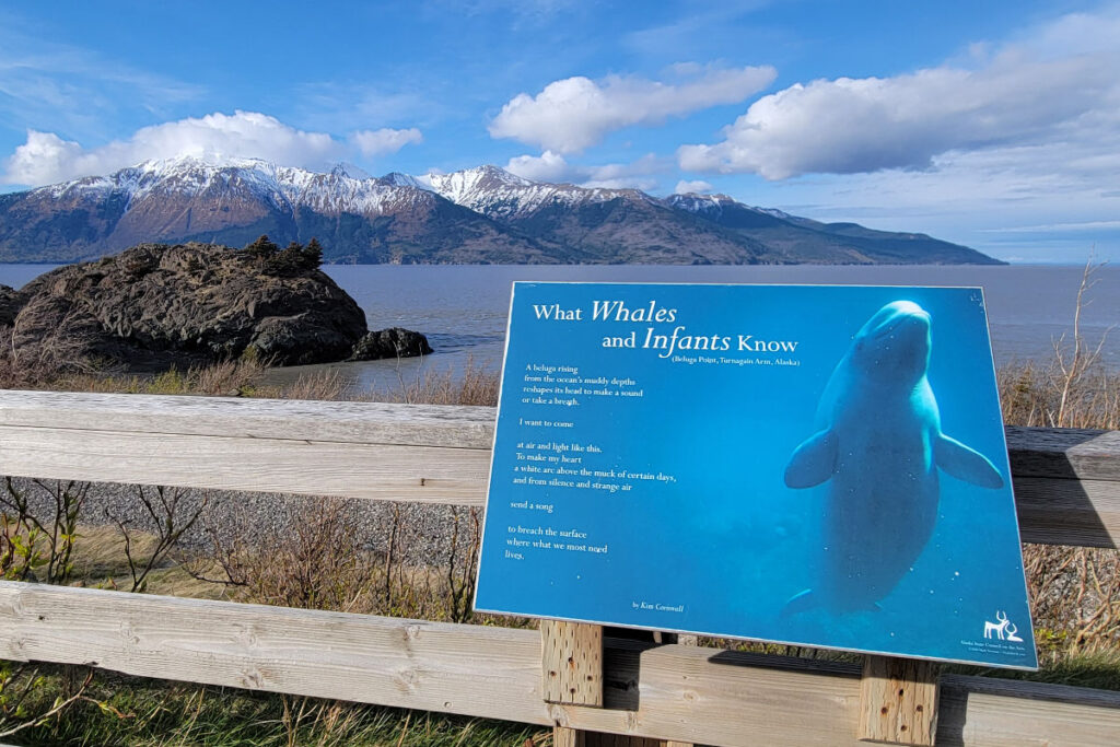 Beluga point alaska