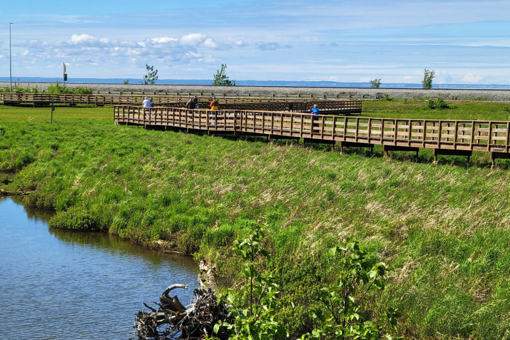 potters marsh boadwalk