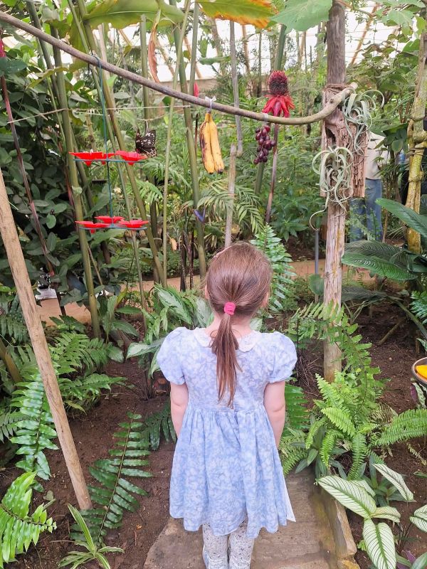girl butterfly park benalmadena