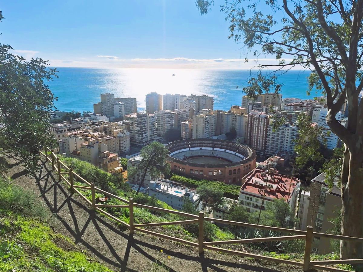 malaga city malaga bullring from above
