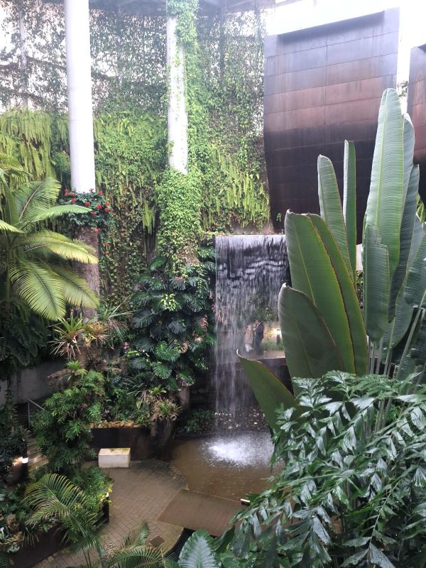 orchid house estepona