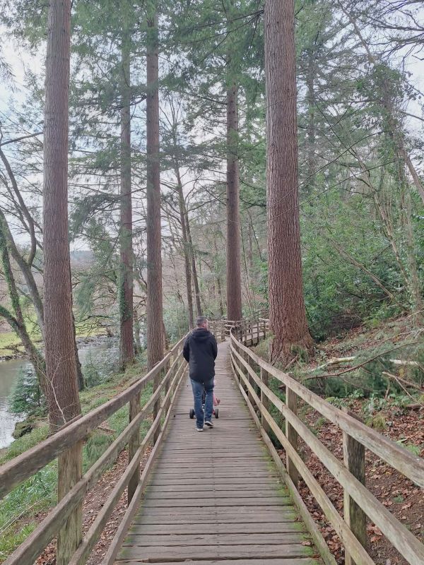 walk to fairy glen