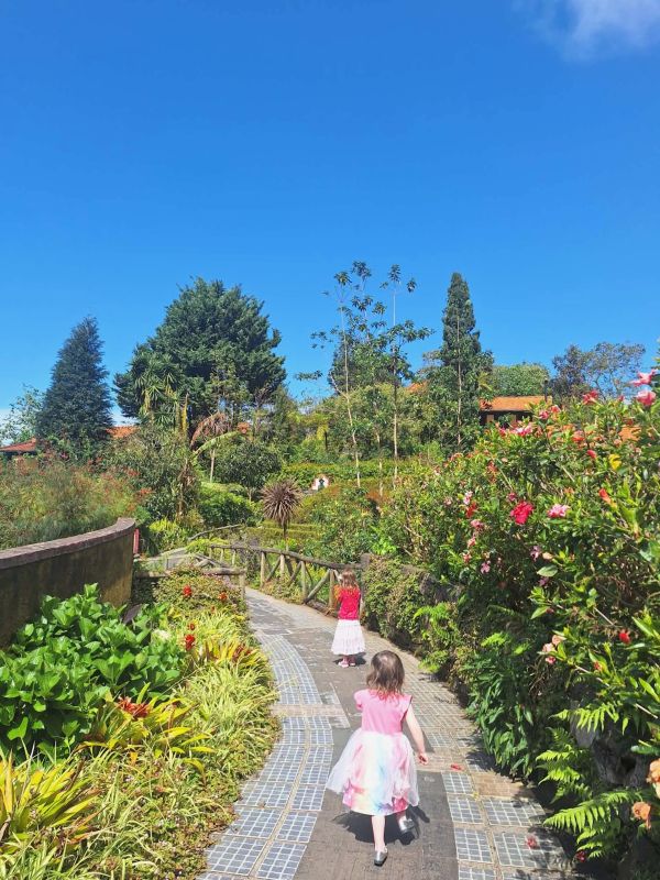 girls rose garden madeira