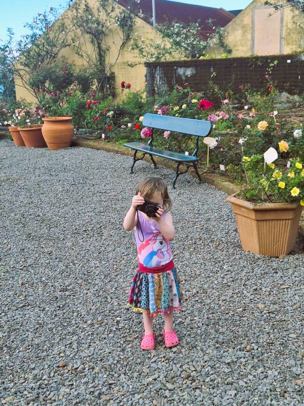 girl camera rose garden madeira