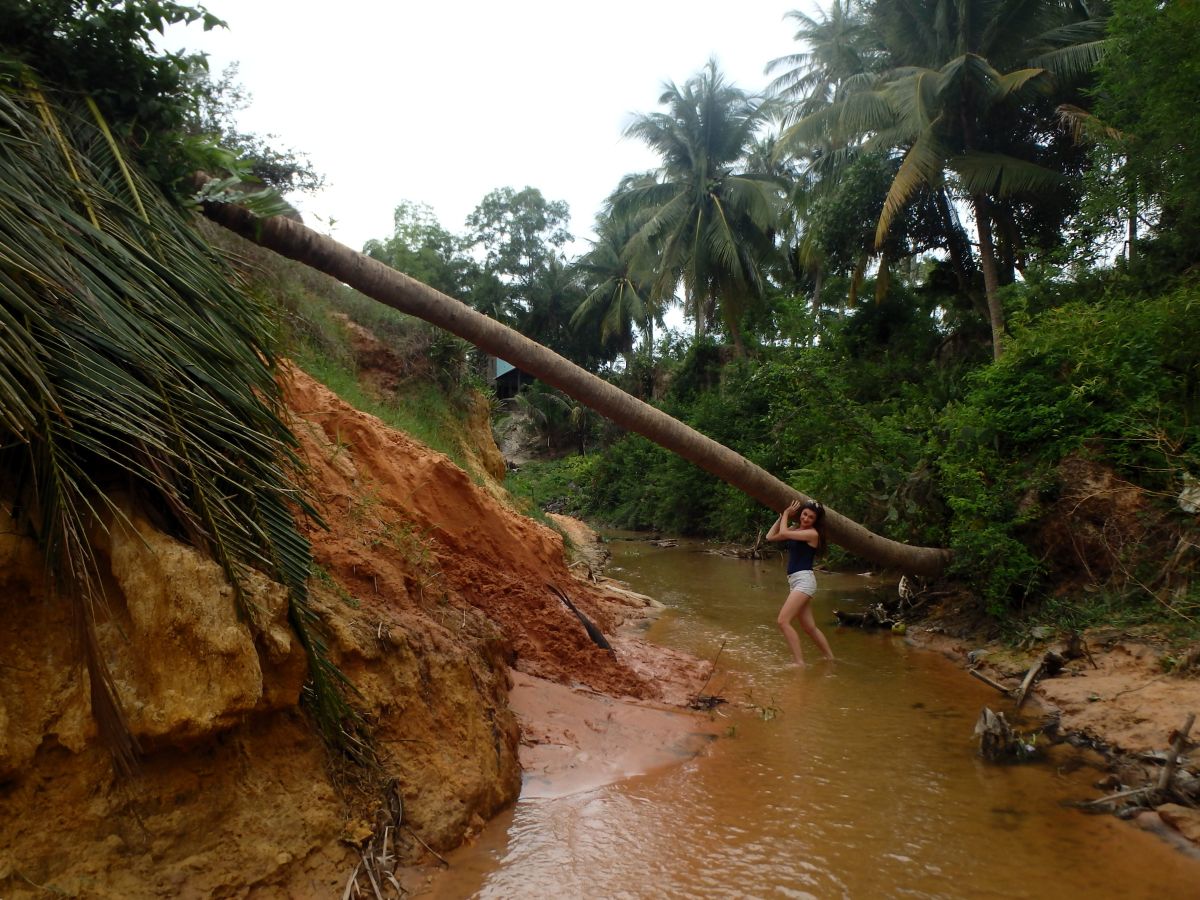 lady tree fairy springs mui ne